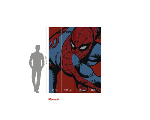 Pictură murală Komar cu motiv Spider-Man