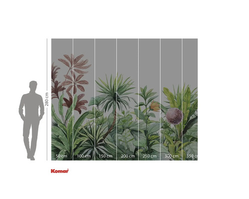 Fototapet cu motiv de junglă și indicații de dimensiuni.