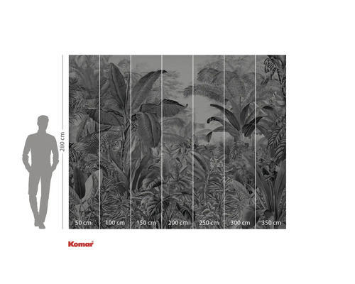 Fototapet cu motiv de junglă și indicații de dimensiune