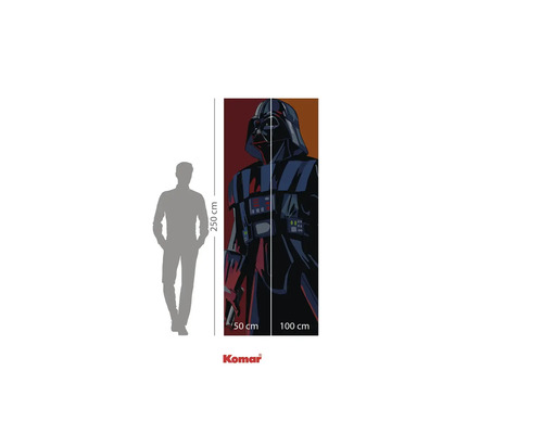 Fototapet cu motiv Darth Vader, dimensiuni 250 x 100 cm