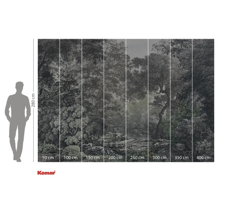 Tapetă foto cu motiv cu pădure și dimensiuni.
