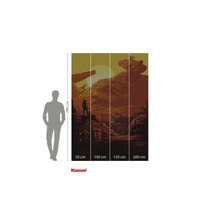 Fototapet cu peisaj deșertic, persoană și navă spațială