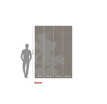 Fototapet cu motiv Mickey Mouse și dimensiuni