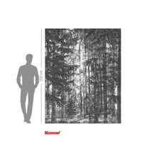 Fototapet cu motiv forestier și indicații de dimensiuni