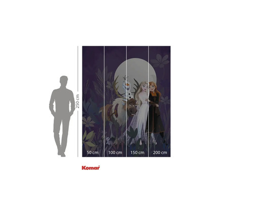 Fototapet Komar cu motivul Regatul de gheață