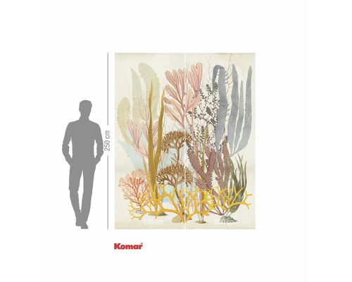 Fototapet cu reprezentarea coralilor și a algelor