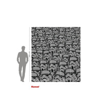 Tapet fotogravură cu motiv Star Wars Stormtrooper și specificații de dimensiuni