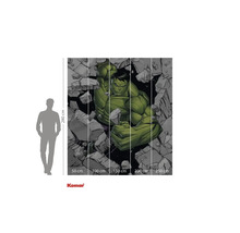Pictură murală Komar Hulk cu dimensiunile 280 x 250 cm