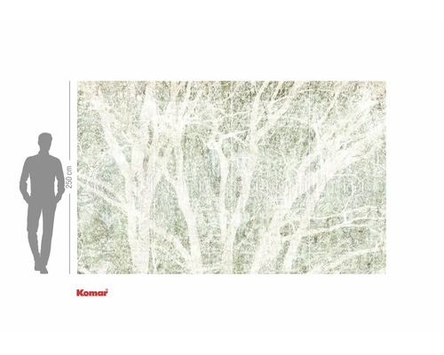 Tapet foto Komar cu motiv de pădure și indicație de dimensiune