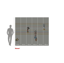 Fototapet cu motive de la Mickey Mouse, Goofy, Donald Duck și Pluto