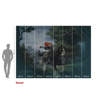 Fototapet cu un motiv din filmul Brave, inclusiv indicații de dimensiune