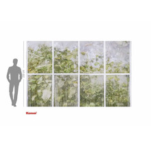 Fototapet cu motiv de fereastră și plante