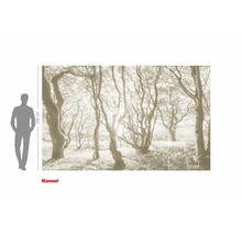 Tapetă foto cu motiv cu pădure și indicații de dimensiune