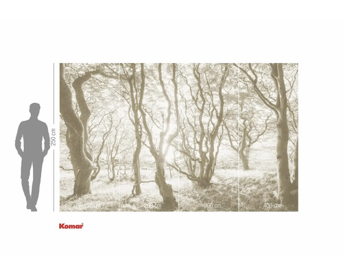 Tapetă foto cu motiv cu pădure și indicații de dimensiune