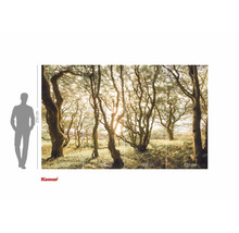 Fototapet Komar cu motiv forestier și indicații de dimensiuni