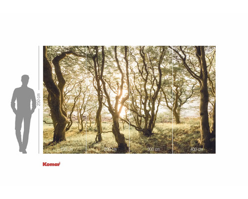 Fototapet Komar cu motiv forestier și indicații de dimensiuni