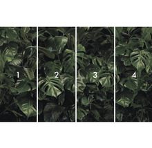 Fototapet cu frunze de Monstera, împărțită în patru fâșii numerotate