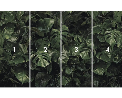 Fototapet cu frunze de Monstera, împărțită în patru fâșii numerotate