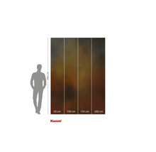 Fototapet Komar cu dimensiuni eșantion și figură