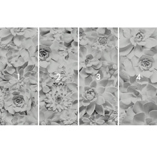 Tapet foto cu motiv suculent, formată din patru părți