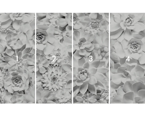 Tapet foto cu motiv suculent, formată din patru părți