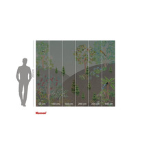 Fototapet cu motiv forestier și indicații de înălțime.