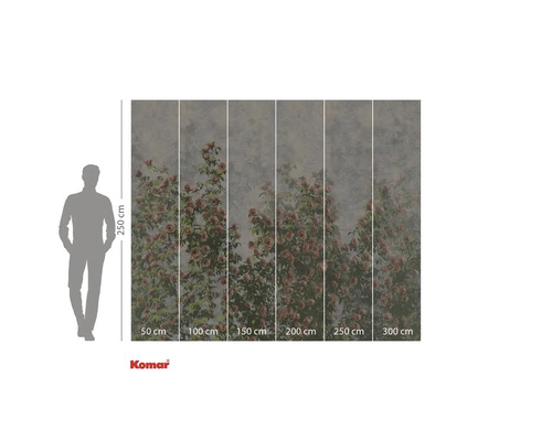 Tapet foto Komar cu motiv de trandafiri și indicații de dimensiuni.