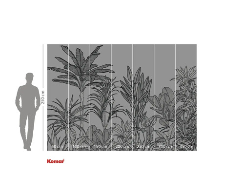 Ilustrație a unui fototapet cu plante tropicale, dimensiuni indicate