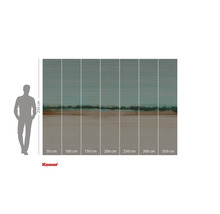 Fototapet cu motiv abstract de peisaj și indicații de dimensiuni.