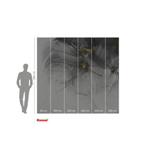 Tapet foto Komar cu model abstract în gri și auriu, informații despre dimensiuni.