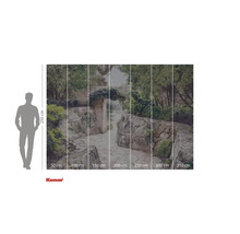 Fototapet cu potecă în grădină și zid de piatră