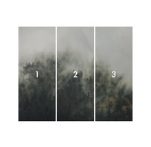 Model de tapetă de pădure din trei piese cu ceață