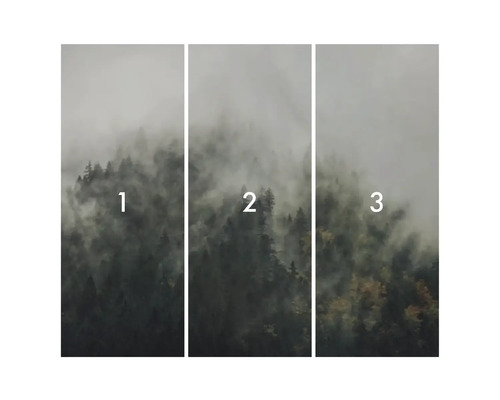 Model de tapetă de pădure din trei piese cu ceață