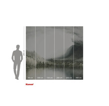 Tapet foto Komar cu motivul unui lac în ceață, inclusiv dimensiunile