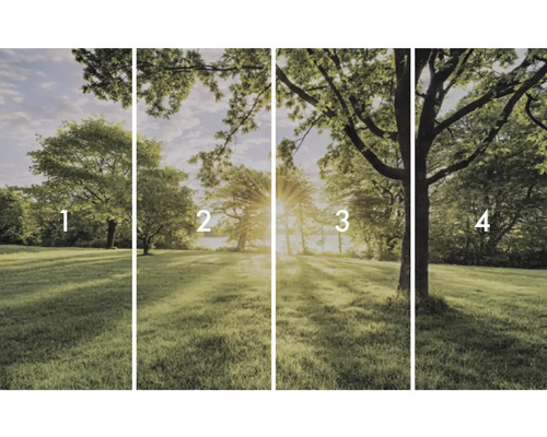 Fototapetă din patru piese cu peisaj cu copaci în parc
