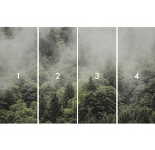 Fototapetă din patru părți cu motiv cu pădure și ceață