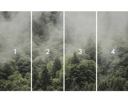 Fototapetă din patru părți cu motiv cu pădure și ceață