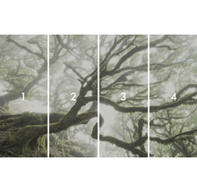 Motiv fotografic din patru părți al unei păduri de ceață