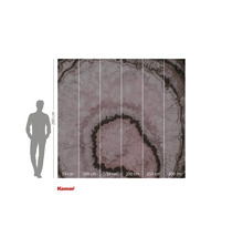 Fototapet cu o secțiune transversală printr-o piatră de agat cu indicații de dimensiune