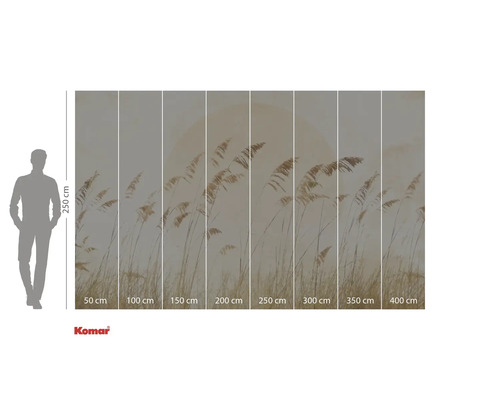 Tapet foto Komar cu motiv de stuf și indicații de dimensiune