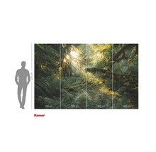 Fototapet cu motiv cu pădure și lumină solară