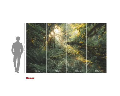 Fototapet cu motiv cu pădure și lumină solară