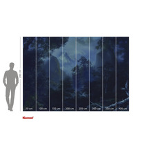 Fototapet Komar cu peisaj forestier și indicații de dimensiuni.