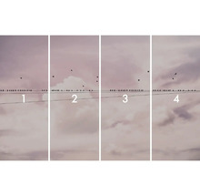 Ilustrație cu patru imagini cu păsări pe un fir de electricitate în fața unui cer înnorat