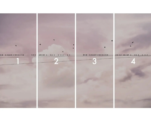 Ilustrație cu patru imagini cu păsări pe un fir de electricitate în fața unui cer înnorat