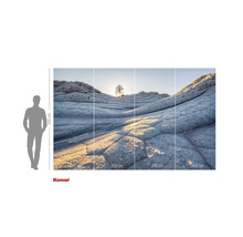 Fototapet cu formațiuni stâncoase și copac