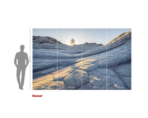 Fototapet cu formațiuni stâncoase și copac