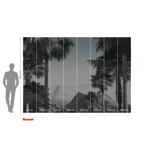 Fototapet cu palmieri și indicații de dimensiune