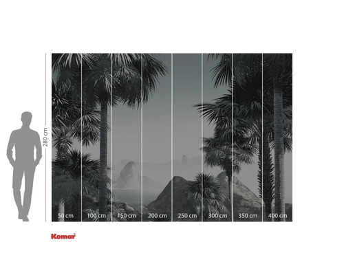 Fototapet cu palmieri și indicații de dimensiune