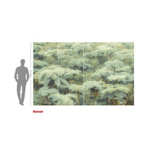 Fototapet cu motiv de ferigă arborescentă și indicații de dimensiune